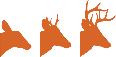Dynamic Duo